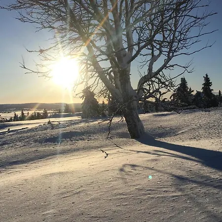 Semesterbostad Fjellheimen Nr 104
