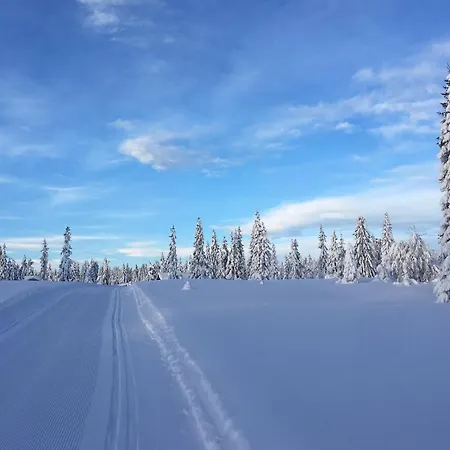 Dom wakacyjny Fjellheimen Nr 104 *