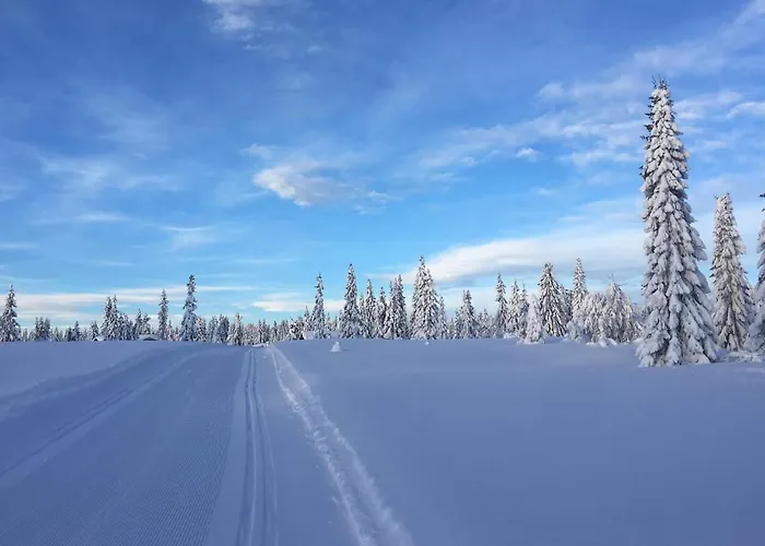 Casa vacanze Fjellheimen Nr 104 *